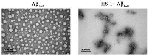 A kind of cyclopentenone compound and its preparation method and application