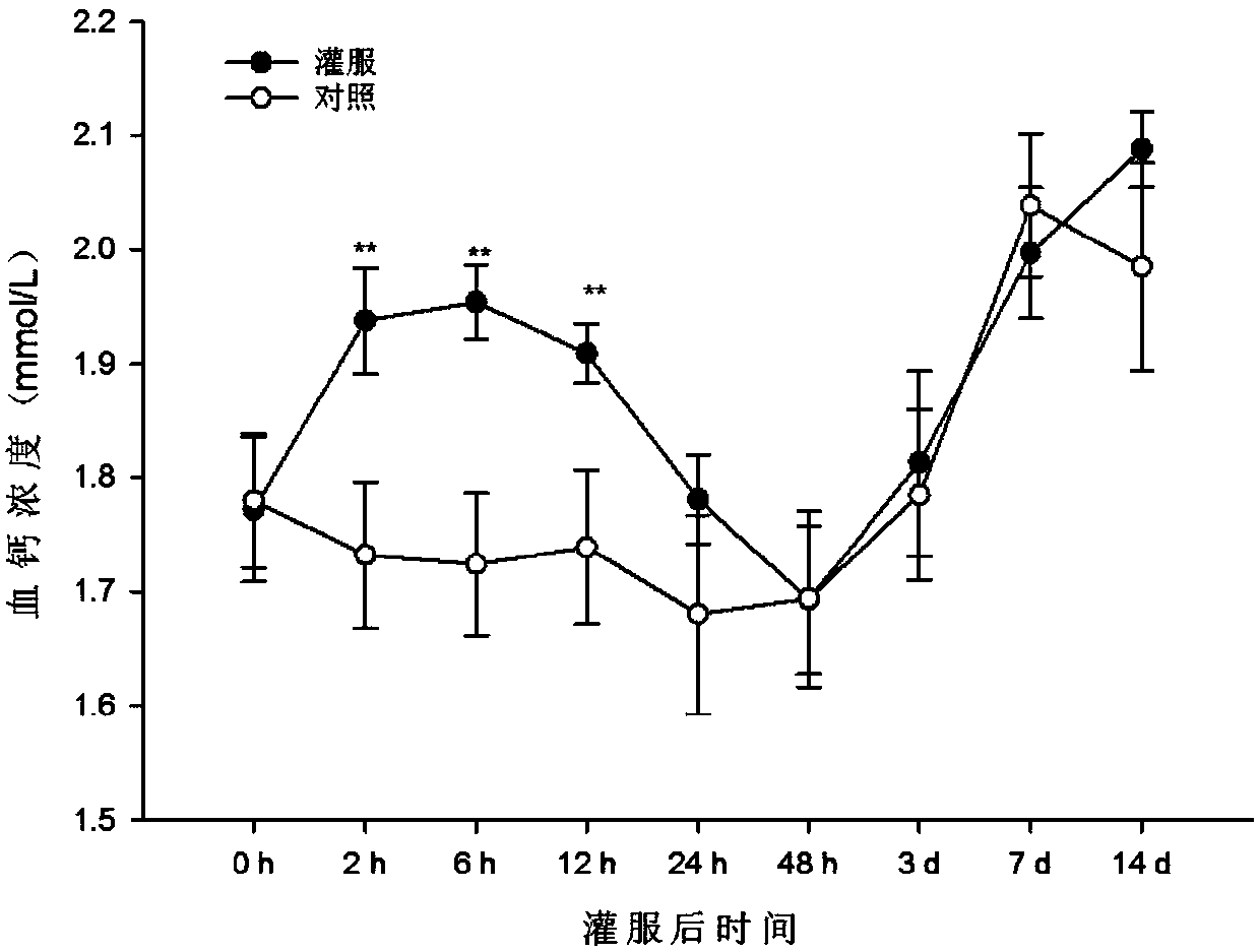 Perfusion agent for preventing and treating postpartum hypocalcemia and ketosis of dairy cows