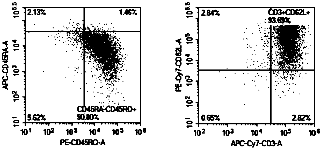 Application of memory lymphocyte population in liver cancer treatment