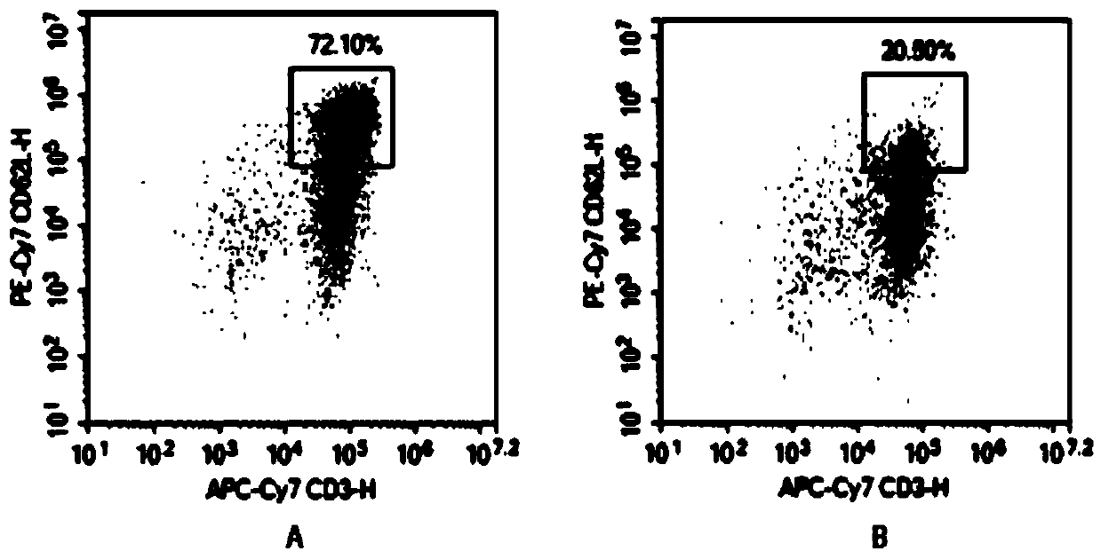 Application of memory lymphocyte population in liver cancer treatment