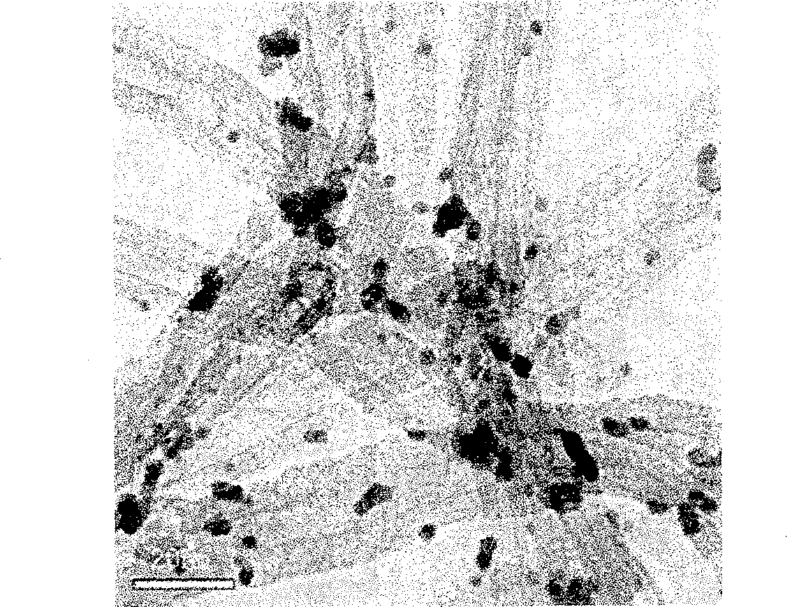 Solid phase reduction preparation method for platinum, carbon catalyst of fuel cell