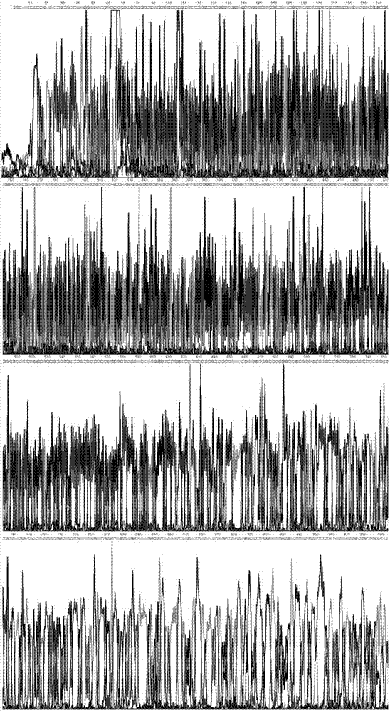 Mature human beta-defensin-2 (HBD-2) and preparation method thereof