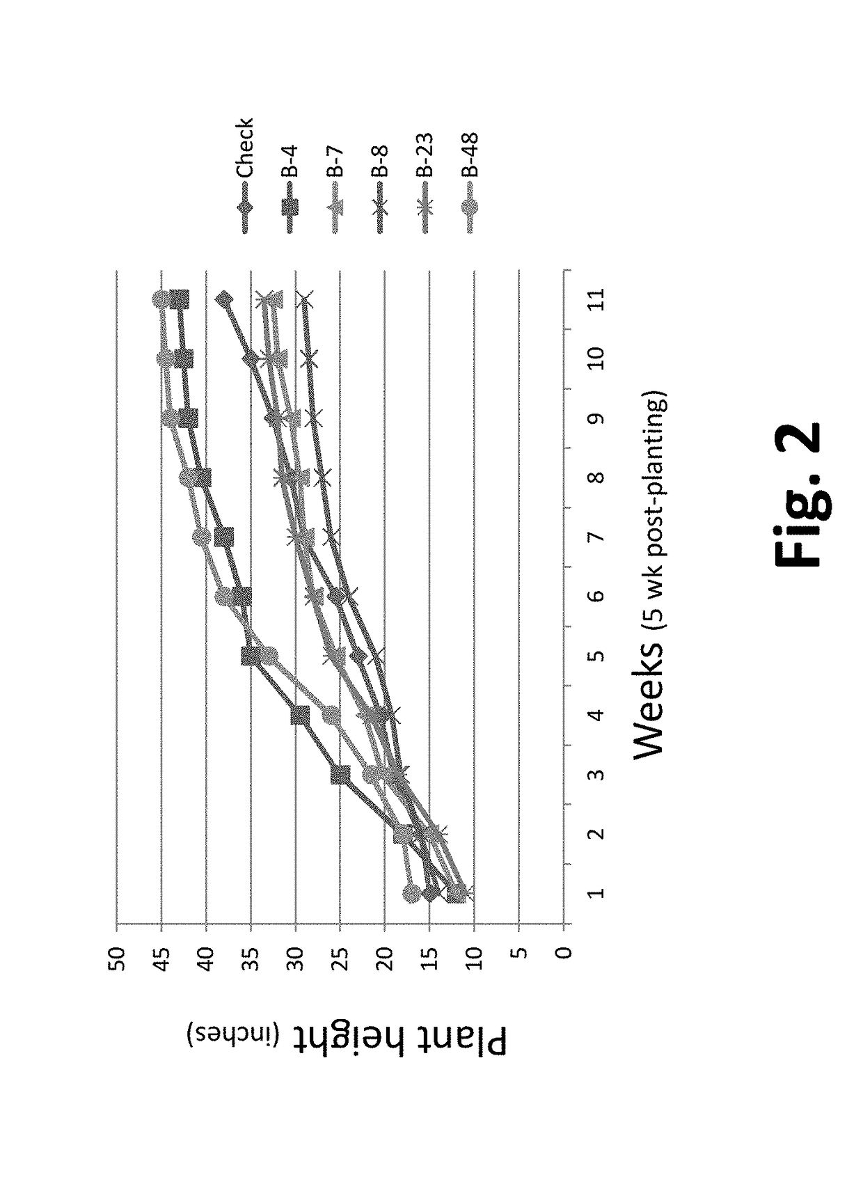 Potato fertility restoration