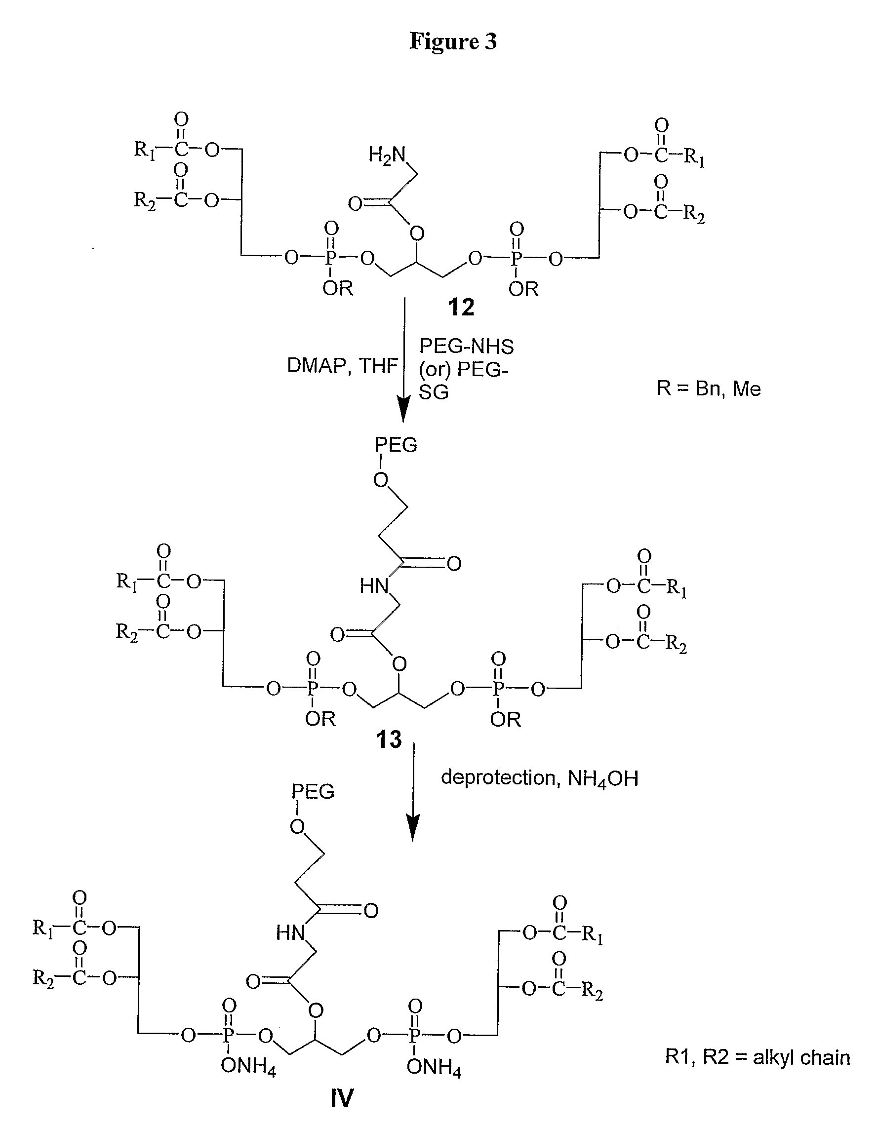 Pegylated Cardiolipin Analogs, Methods of Synthesis, and Uses Thereof