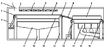 Cleaning and screening device for processing chestnuts