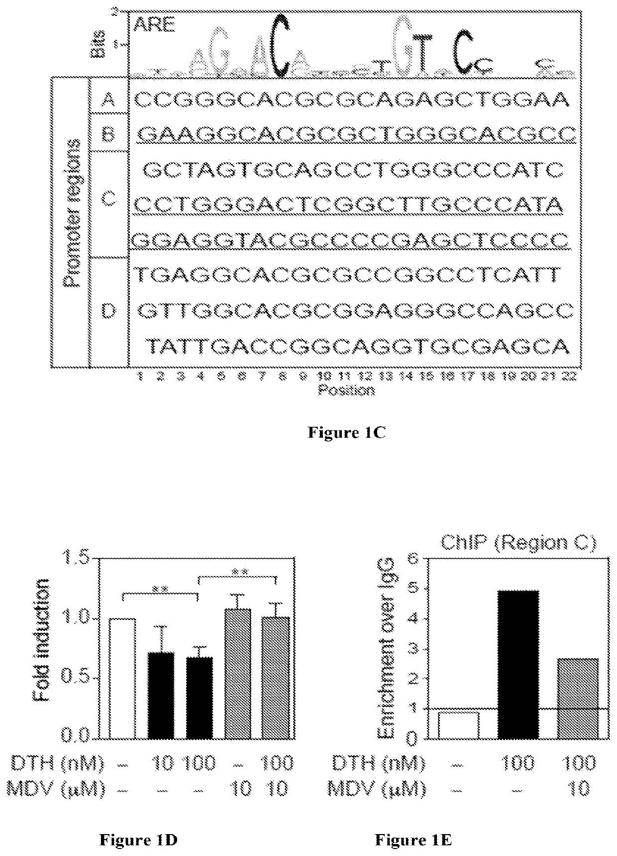 Hematopoietic recovery from radiation injury