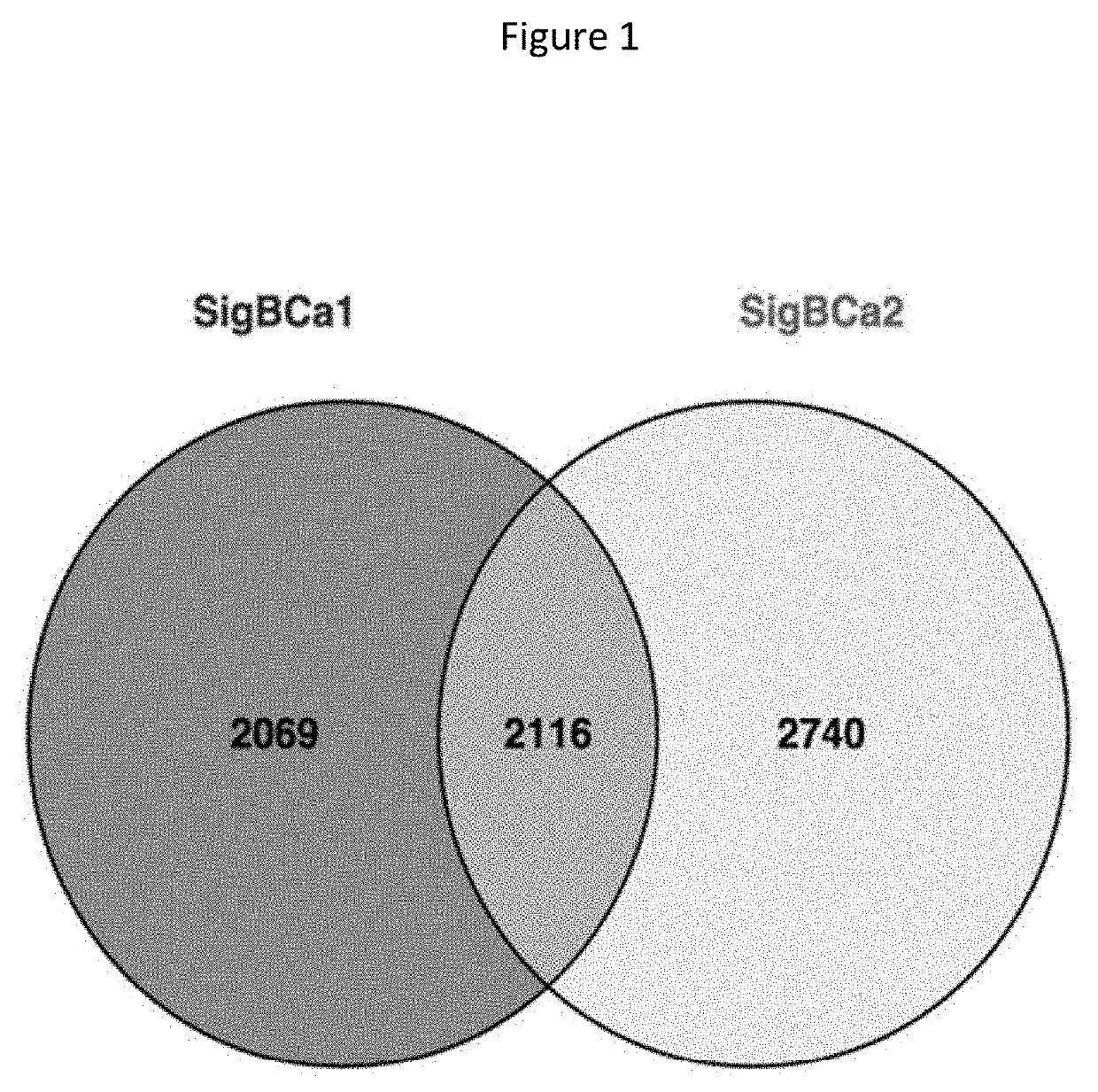 Detection of chromosome interaction relevant to breast cancer