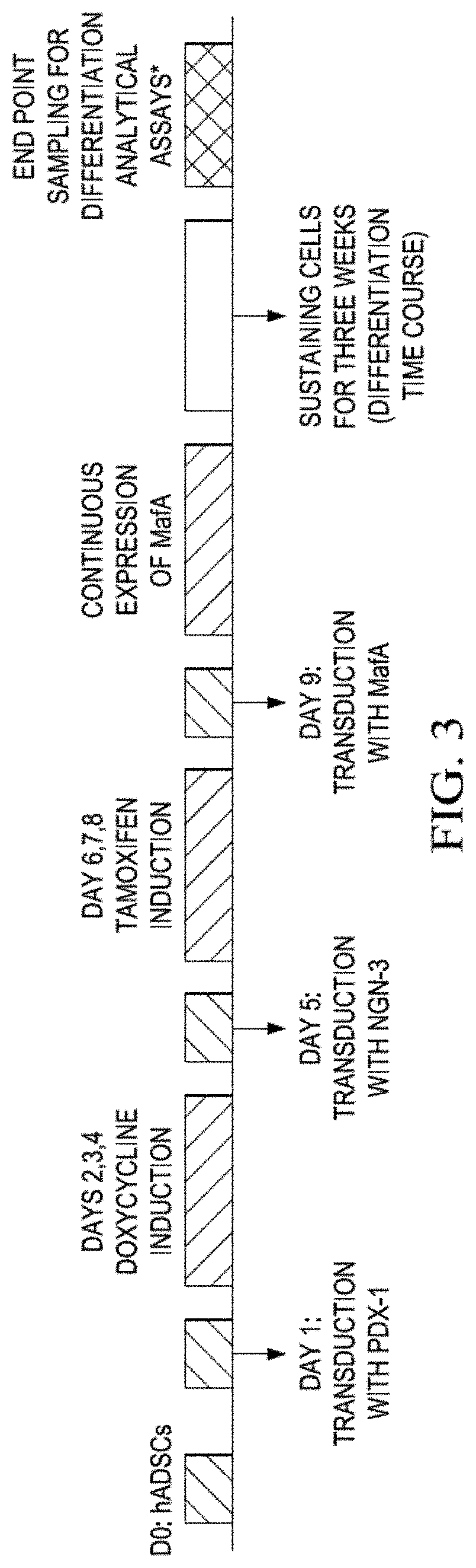 Self replicating RNA for inducing somatic differentiation of unmodified adult stem cells