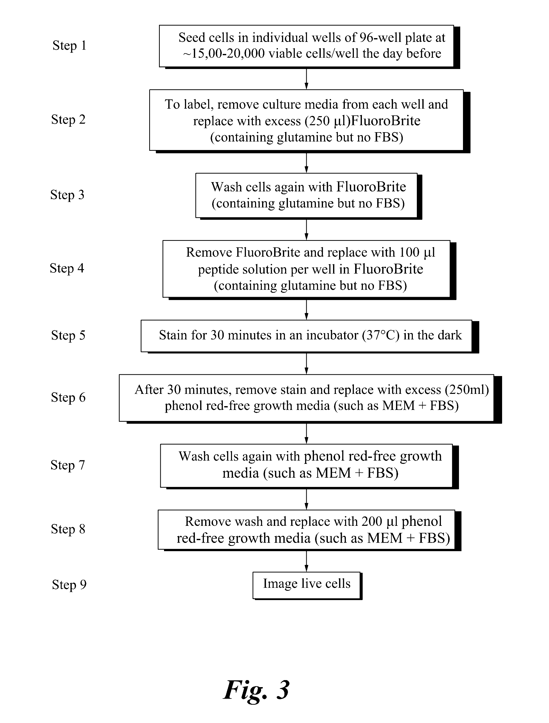 Functionalized peptide transporters for cellular uptake