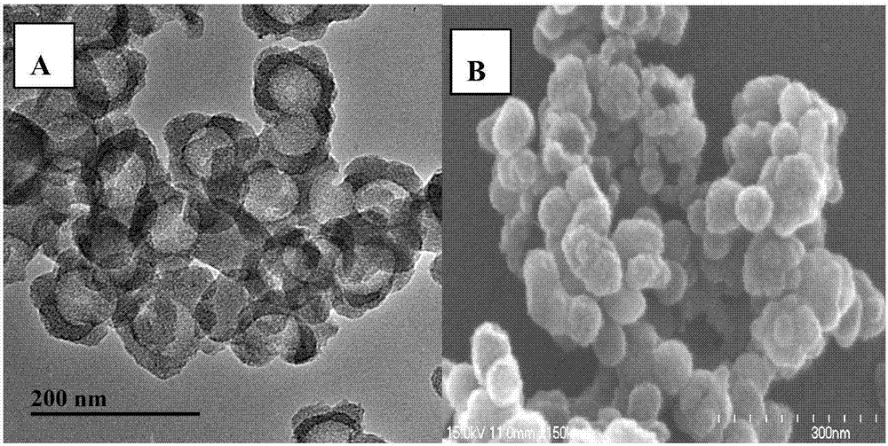 Method for detecting specific IgE (immunoglobulin E) of metapenaeus ensis