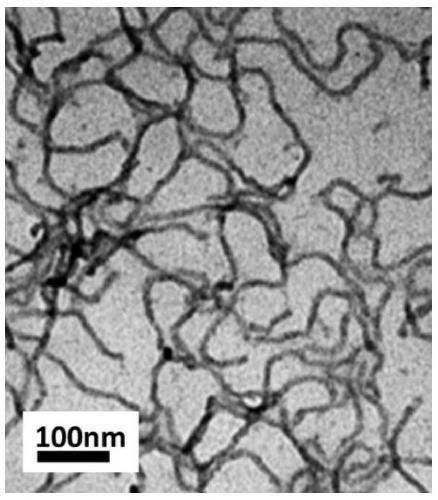 A kind of nano polycarboxylate water reducer and preparation method thereof