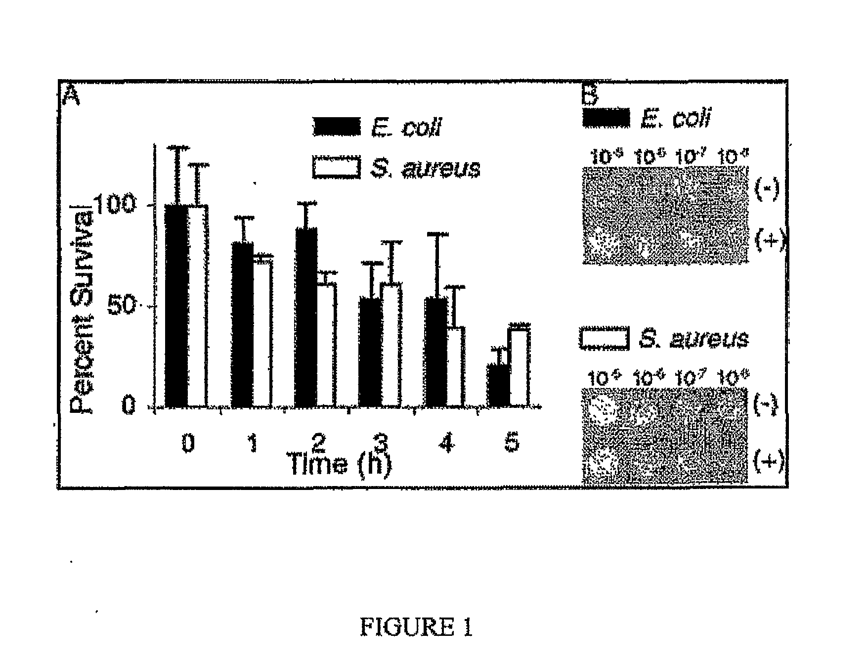 Treatment of infections by carbon monoxide