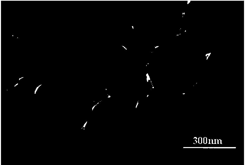 Ti-Si molecular sieve and synthesis method thereof