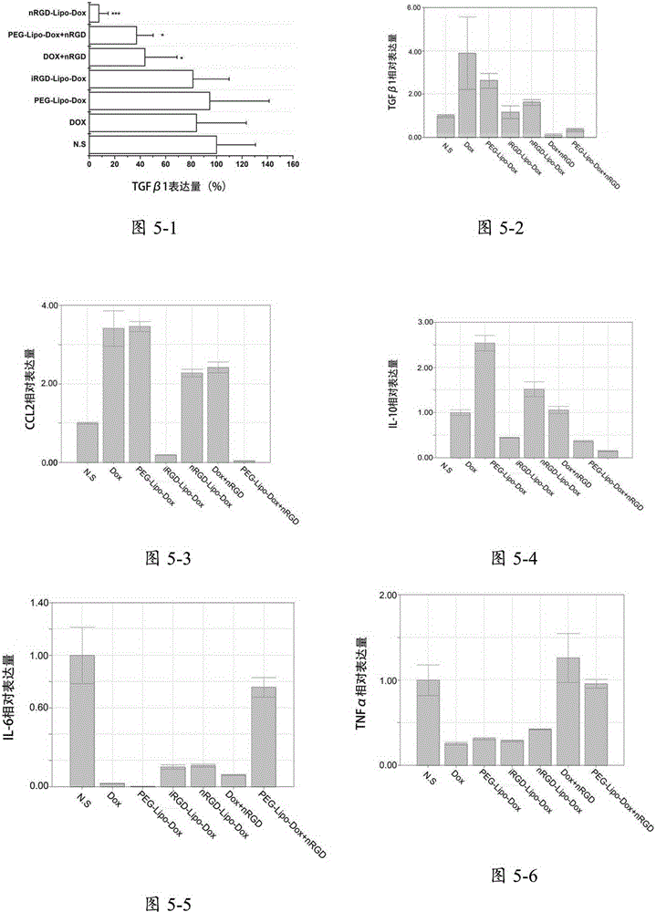 Tumor-targeting novel polypeptide