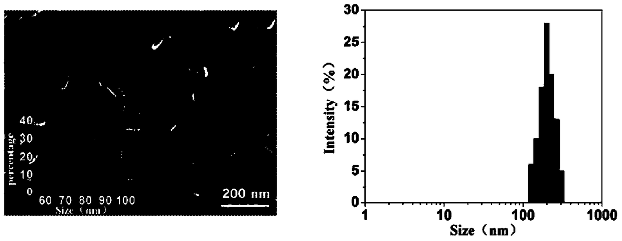 A supramolecular composite photothermal reagent and its application in photothermal therapy and near-infrared imaging