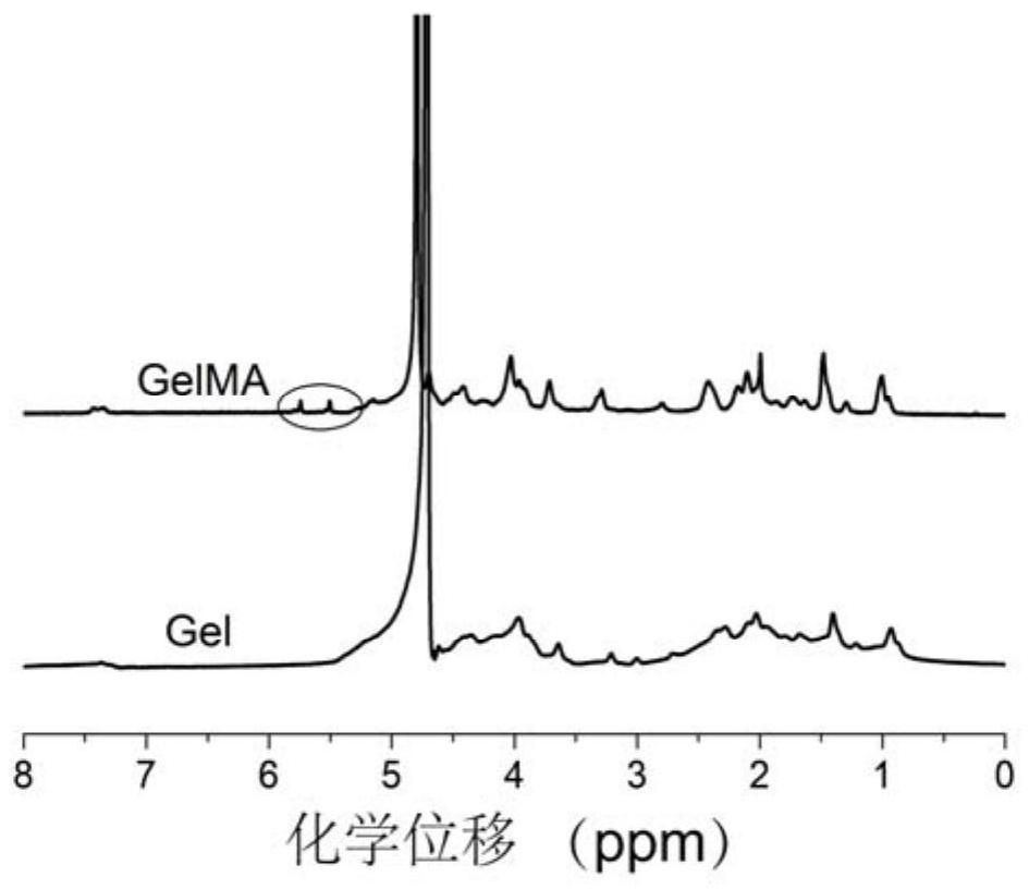 Adhesive hemostatic antibacterial hydrogel and preparation method thereof