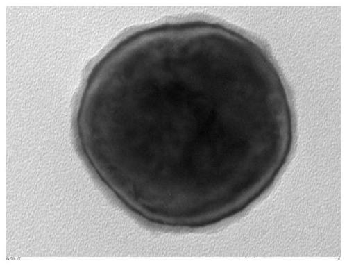 A preparation method of modified barium titanate material, battery diaphragm and lithium ion battery