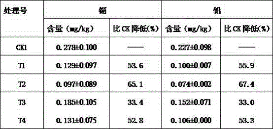 Vegetable heavy metal blocking agent and use method thereof