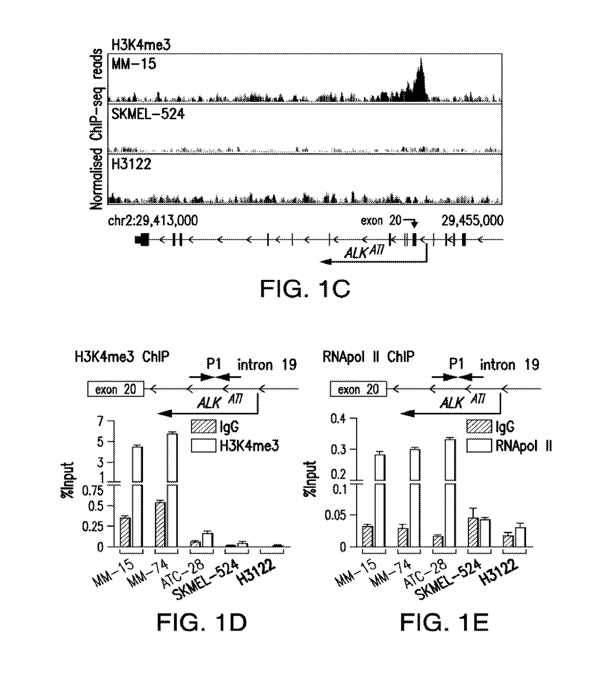 Isoform of anaplastic lymphoma kinase and its uses