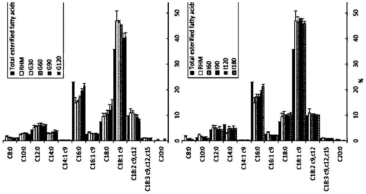 A human stomach-small intestine digestion simulation method and device