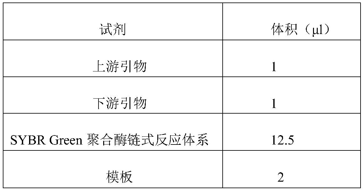 LncRNA related to colorectal cancer and application thereof