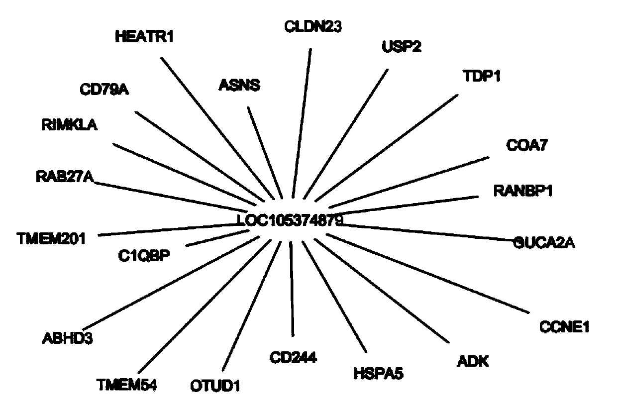 LncRNA related to colorectal cancer and application thereof