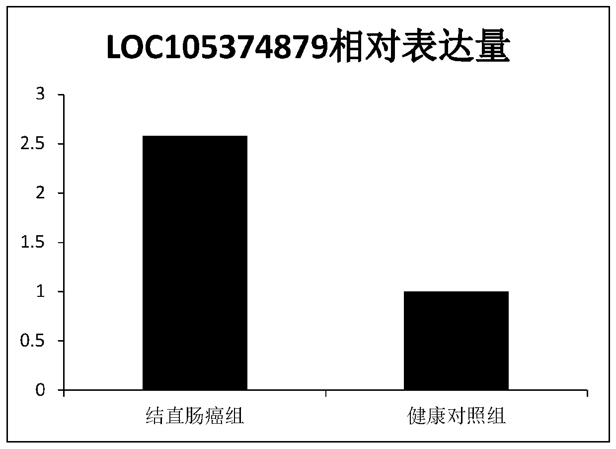 LncRNA related to colorectal cancer and application thereof