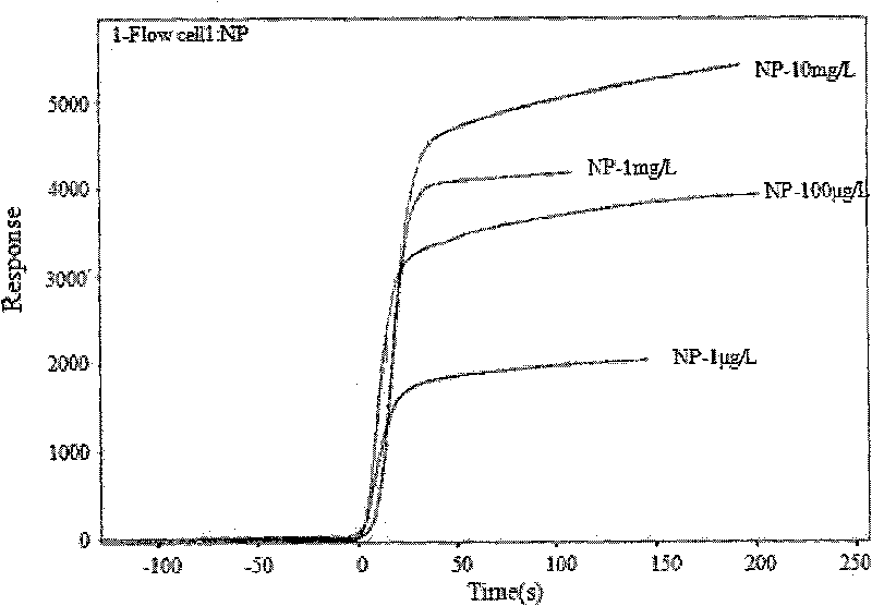 Method for detecting nonyl phenol by exonclease protection fluorescent quantitative PCR