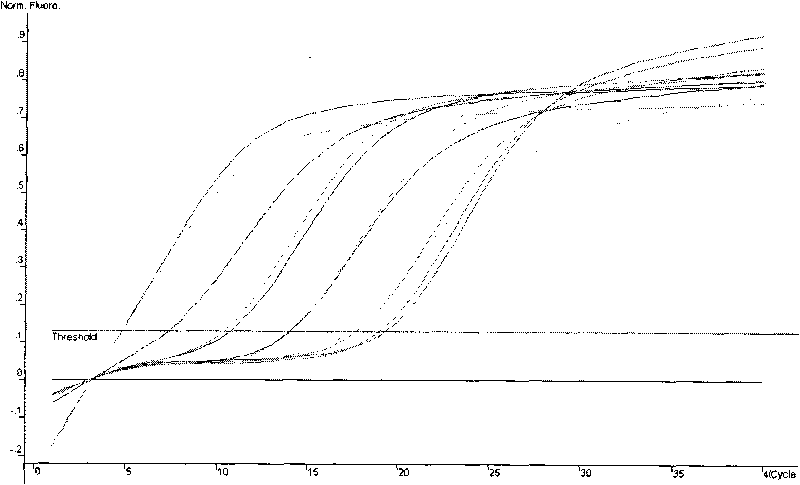 Method for detecting nonyl phenol by exonclease protection fluorescent quantitative PCR