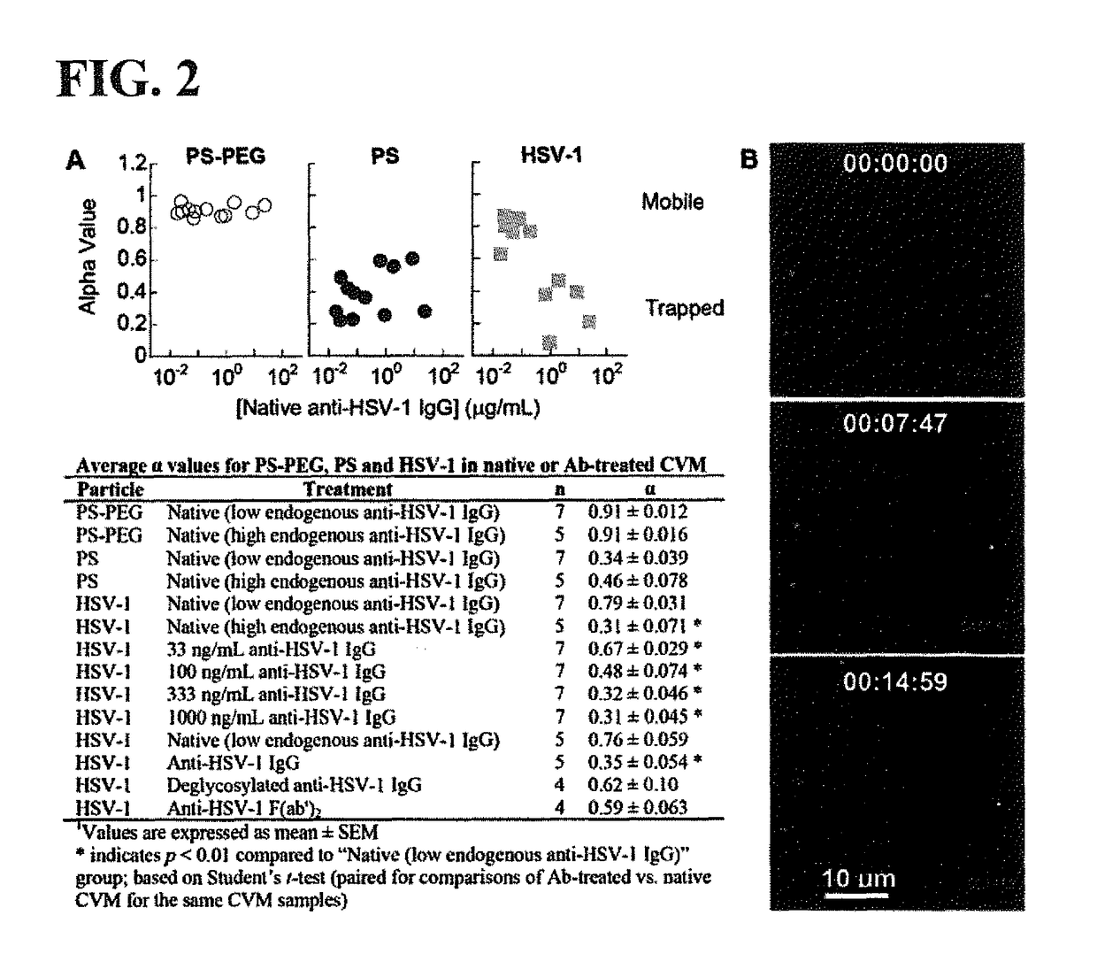 Compositions and methods for inhibiting pathogen infection