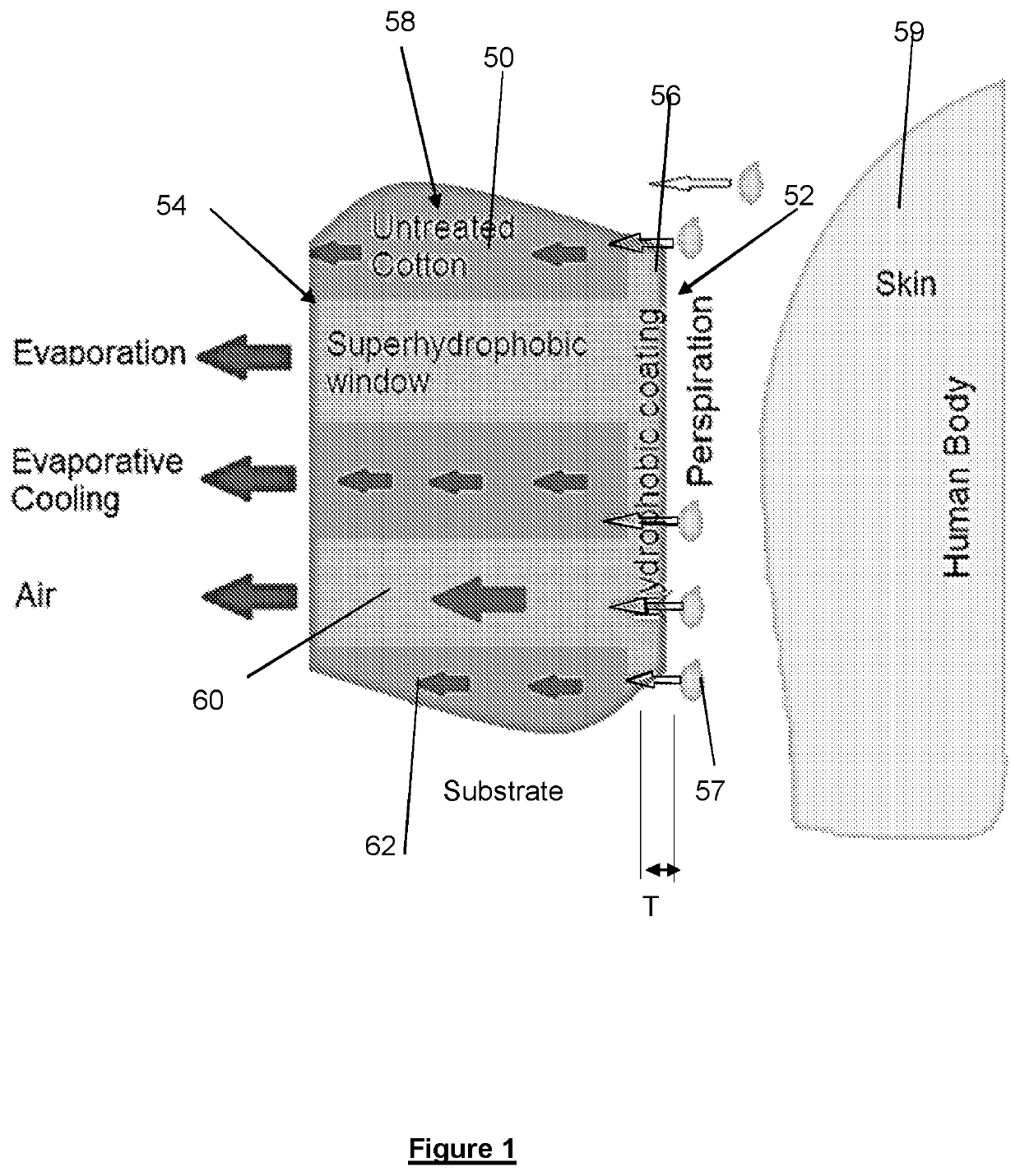 Unidirectional wicking substrate