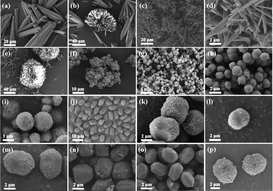 Chiral MOFs material and application of chiral MOFs material as chromatographic stationary phase in resolution of chiral drugs