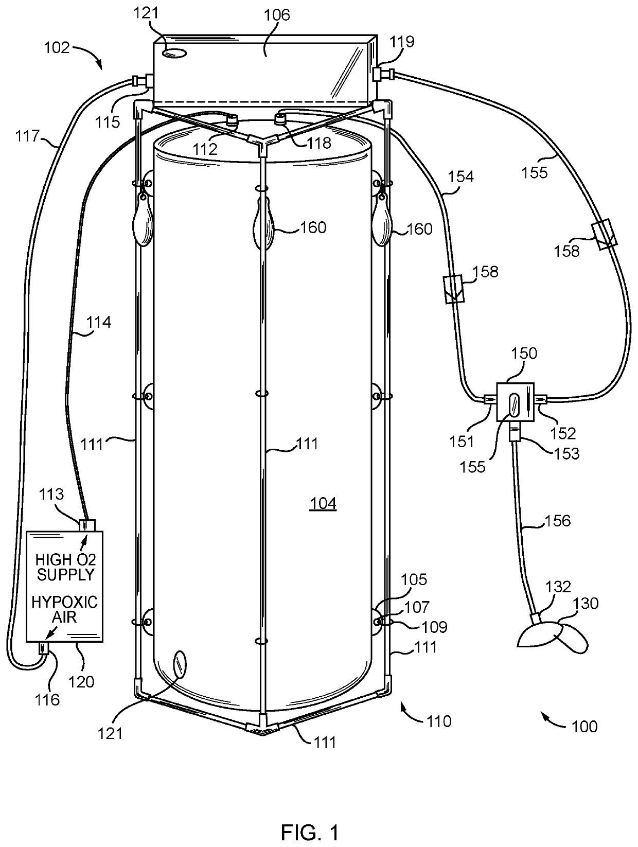 Therapeutic oxygen breathing apparatus and excercise system