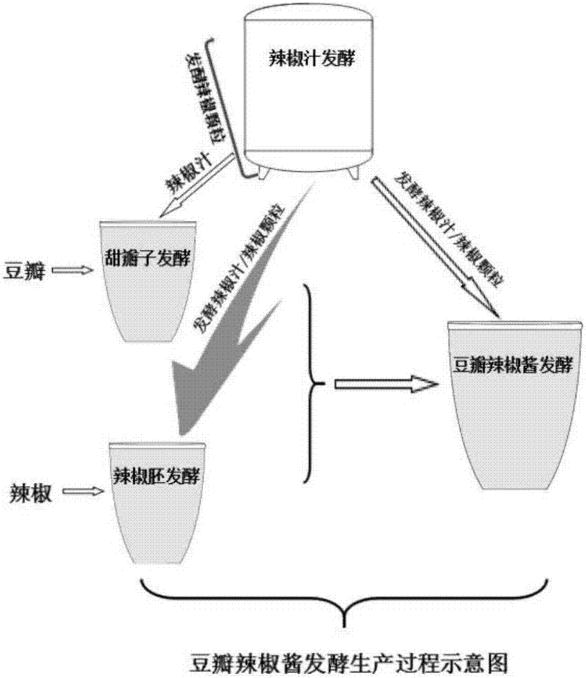 Fermentation production method of thick broad-bean chili sauce