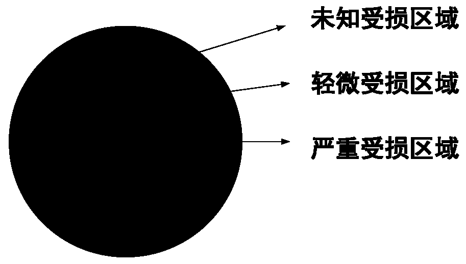 Unmanned-aerial-vehicle-and-oblique-photography-camera-combined aircraft-body upper surface checking method