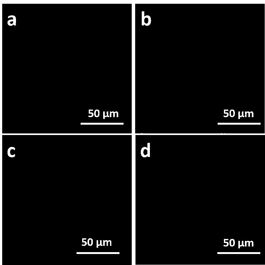 Method for preparing antifouling anti-corrosion functional microcapsule based on Pickering emulsion