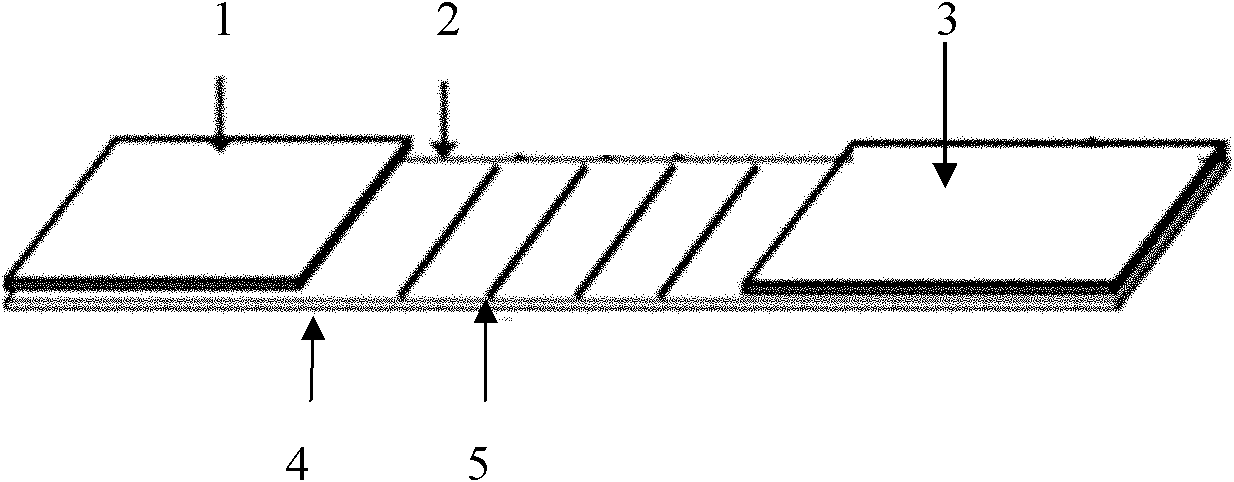 Nucleic acid detecting method