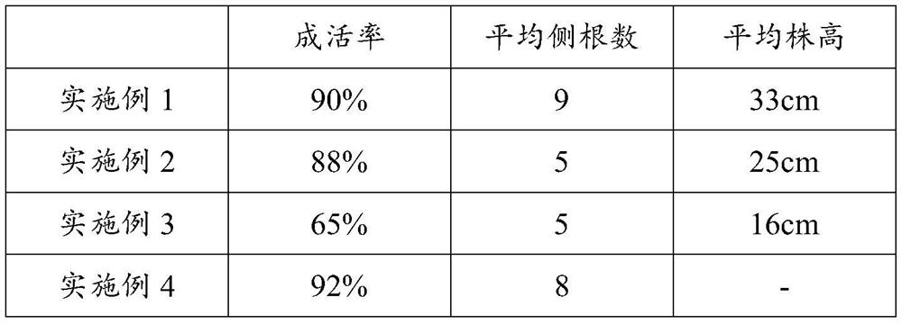 Tamarix chinensis seedling raising substrate and sowing seedling raising method in coastal mud flat areas