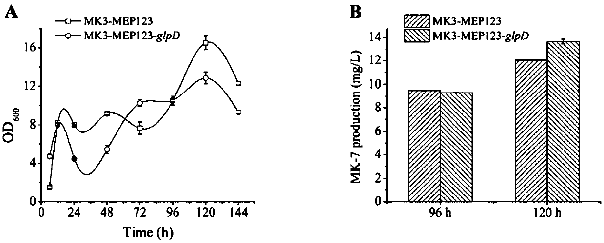 Gene modification application and bacterial strain obtained through gene modification