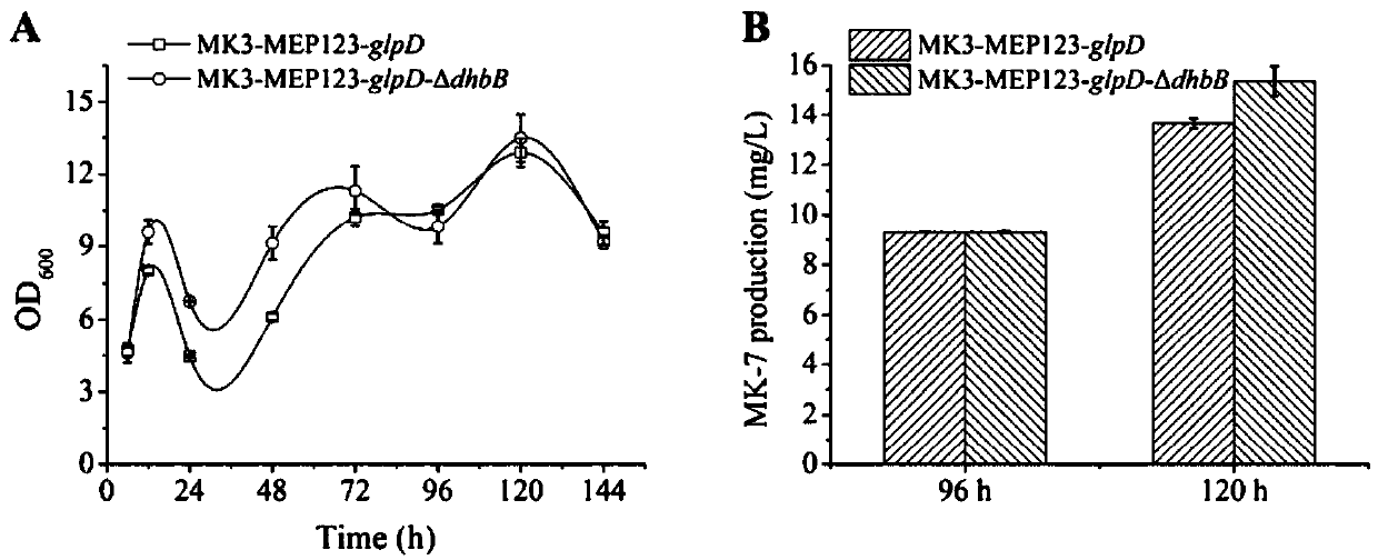 Gene modification application and bacterial strain obtained through gene modification