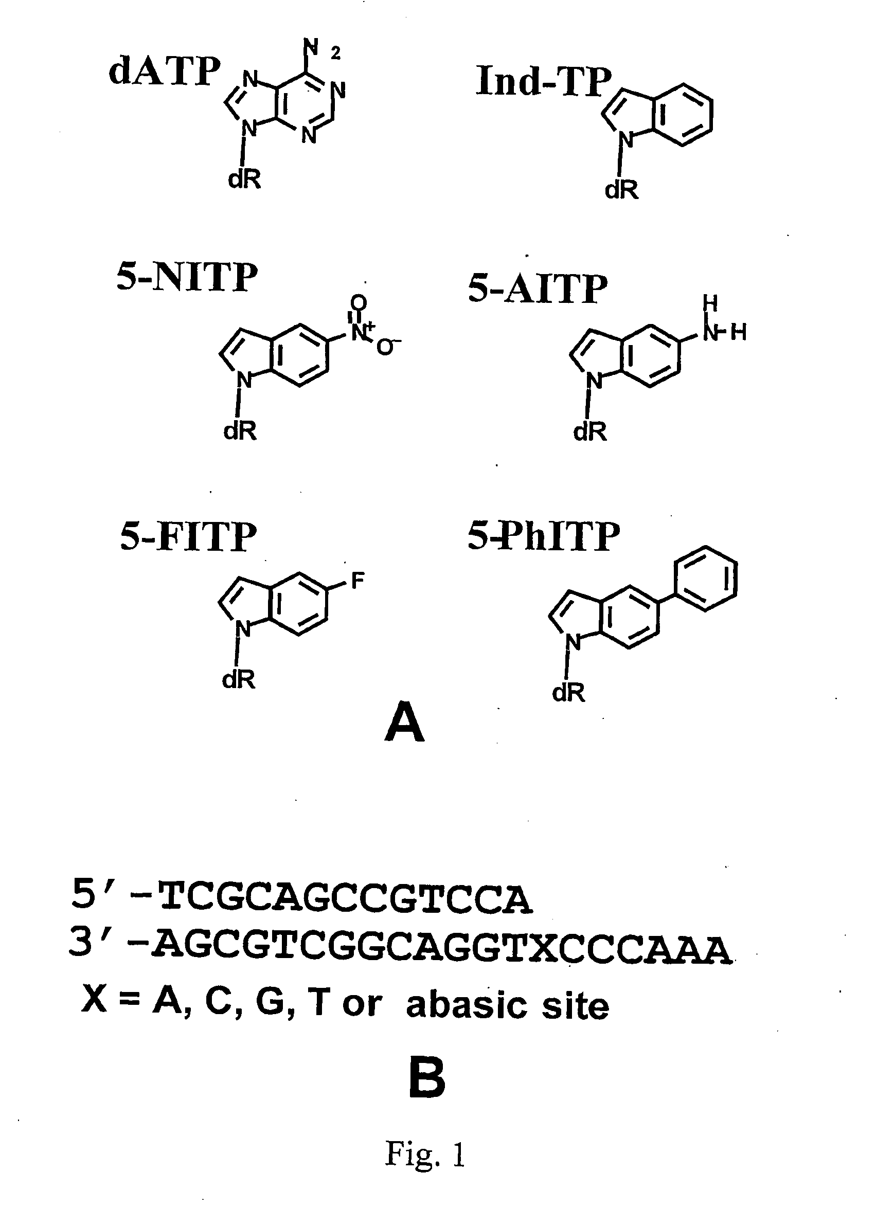 Selective inhibitors of translesion DNA replication