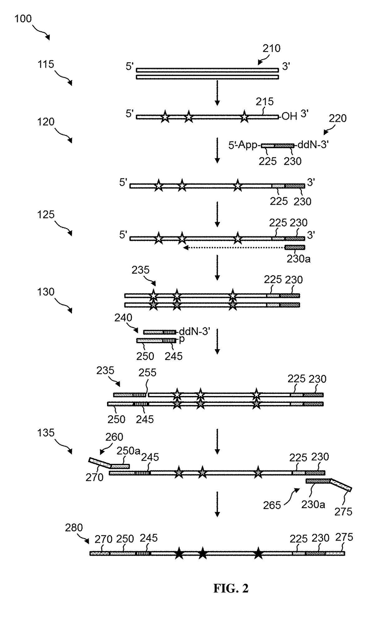 Methods of Preparing Dual-Indexed DNA Libraries for Bisulfite Conversion Sequencing