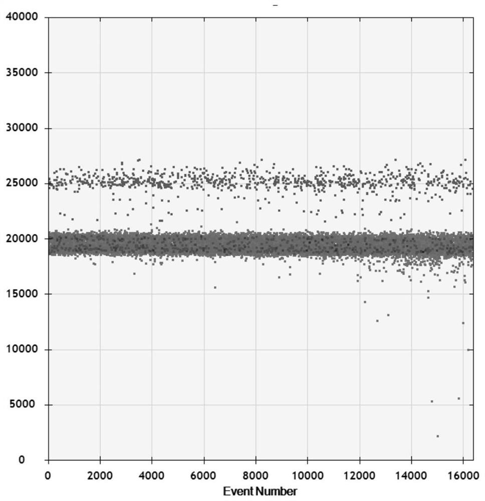 Primer-pair probe combination product, kit and application of primer-pair probe combination product to detection of Enterovirus, EV