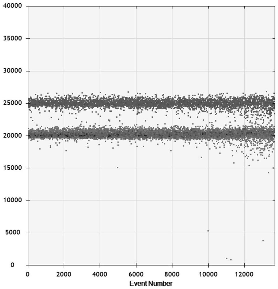 Primer-pair probe combination product, kit and application of primer-pair probe combination product to detection of Enterovirus, EV