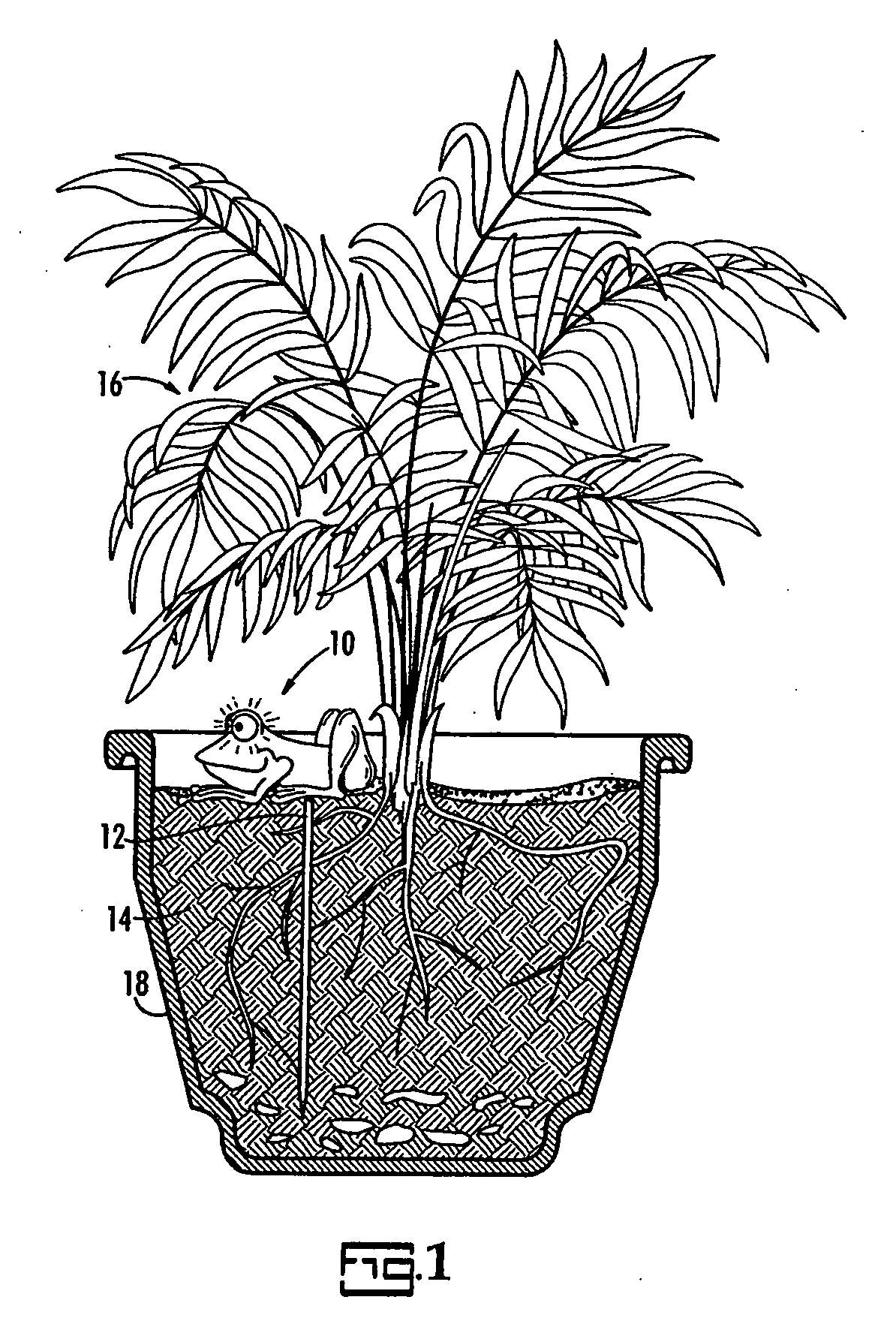 Novelty moisture detector for plants