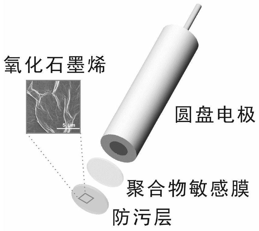 A polymer film potential type anti-biofouling sensor based on graphene oxide antifouling layer and its application