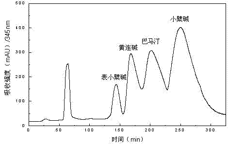 Method for separating and purifying monomer compounds from Chinese medicinal herb rhizoma coptidis