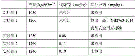 Stachys sieboldii planting method