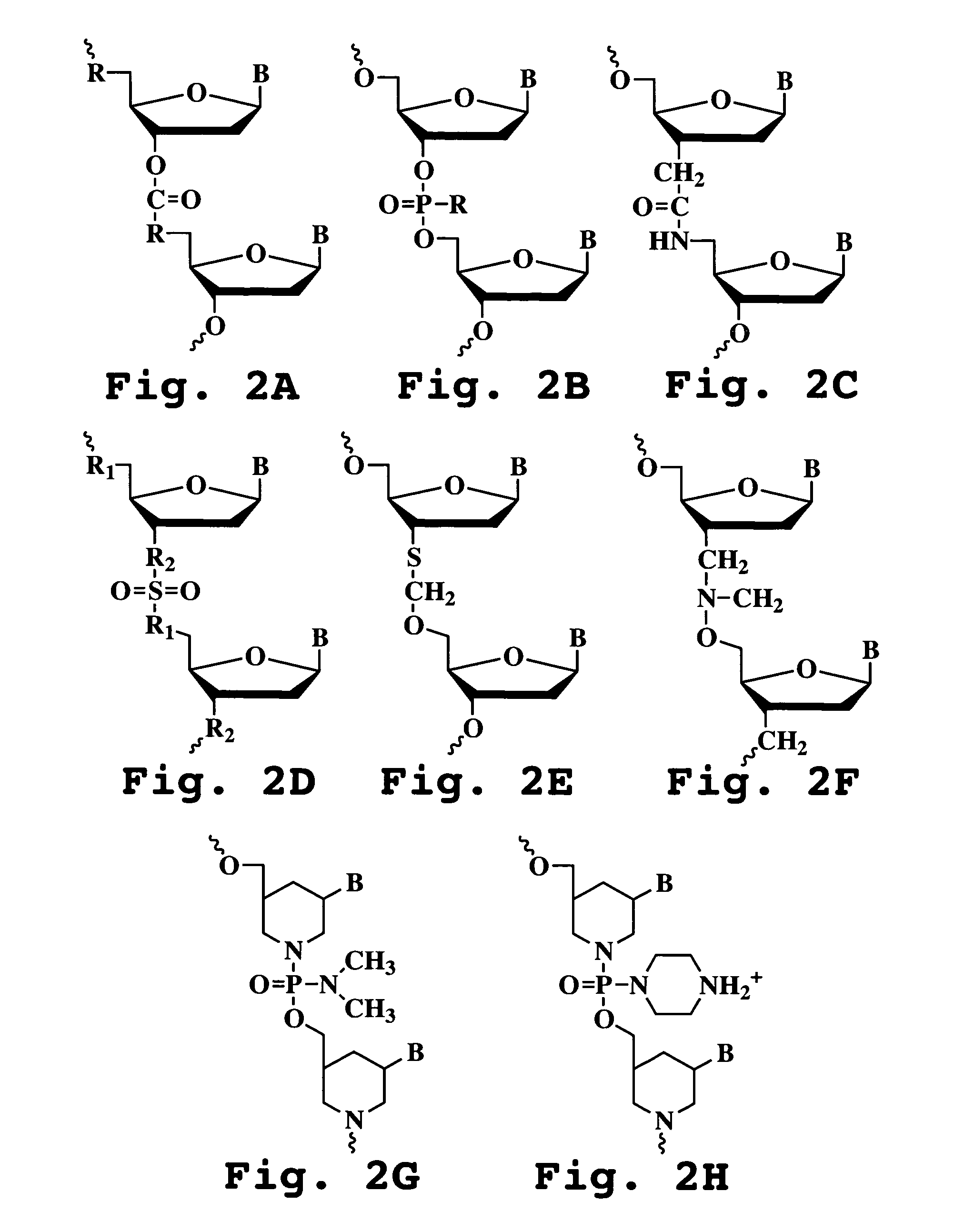 Antisense antiviral compound and method for treating picornavirus infection