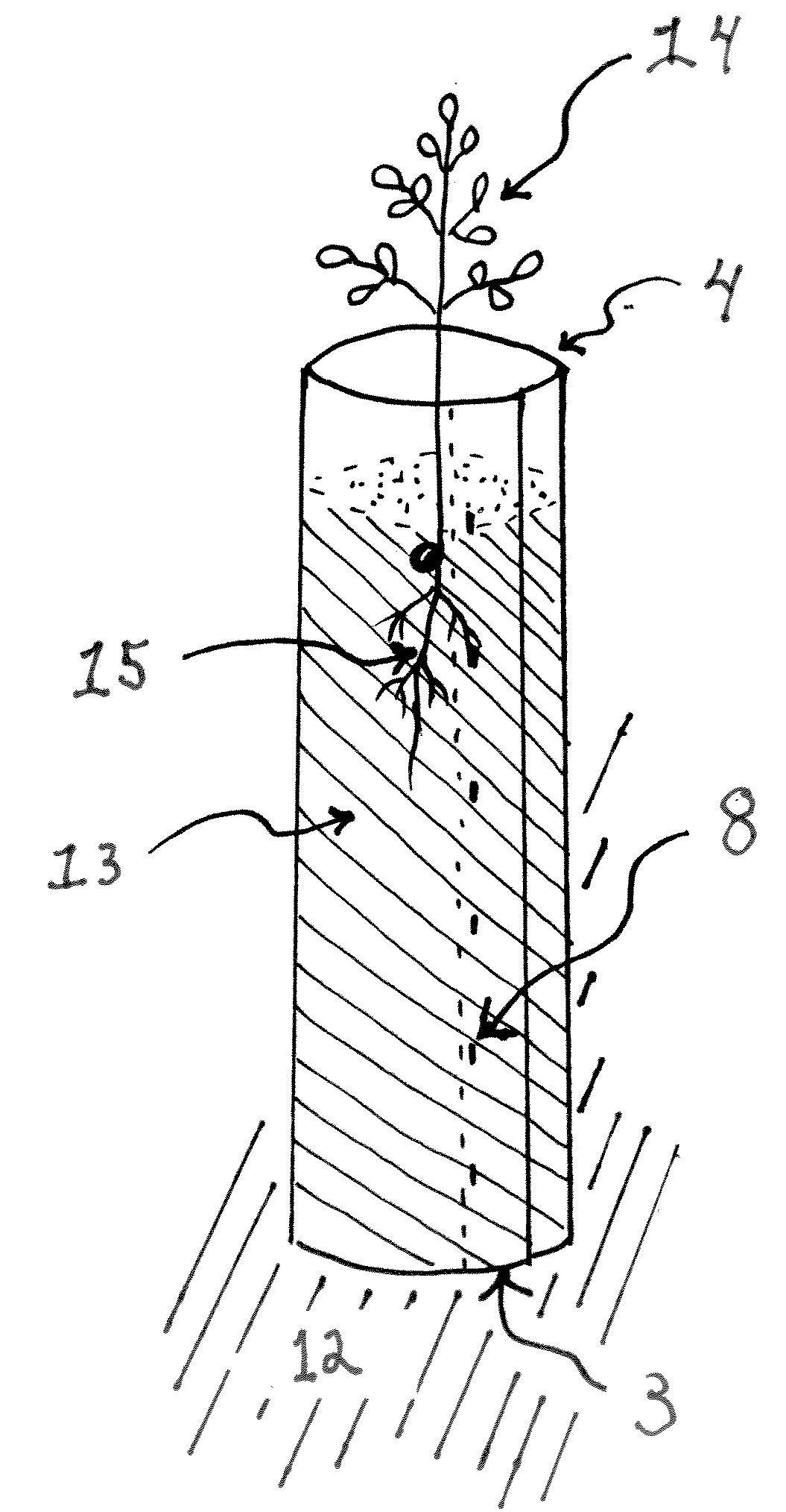 Methods to Grow, Deliver, and Plant Young Trees in a Removable Tubular Container